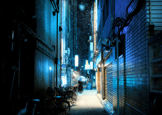 ”Shimbashi Snowfall”Liam Wong for exhibition "The Duality of Night"